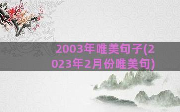 2003年唯美句子(2023年2月份唯美句)