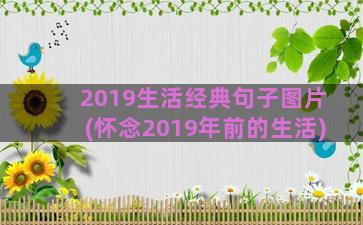 2019生活经典句子图片(怀念2019年前的生活)