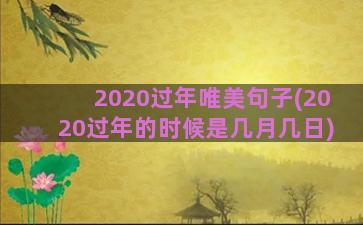 2020过年唯美句子(2020过年的时候是几月几日)