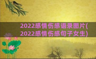 2022感情伤感语录图片(2022感情伤感句子女生)