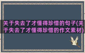 关于失去了才懂得珍惜的句子(关于失去了才懂得珍惜的作文素材)