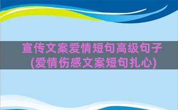 宣传文案爱情短句高级句子(爱情伤感文案短句扎心)