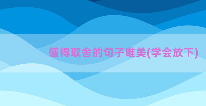 懂得取舍的句子唯美(学会放下)