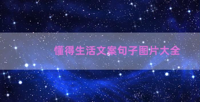 懂得生活文案句子图片大全