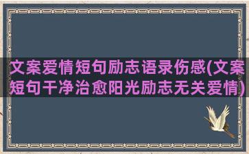 文案爱情短句励志语录伤感(文案短句干净治愈阳光励志无关爱情)