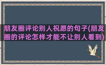 朋友圈评论别人祝愿的句子(朋友圈的评论怎样才能不让别人看到)