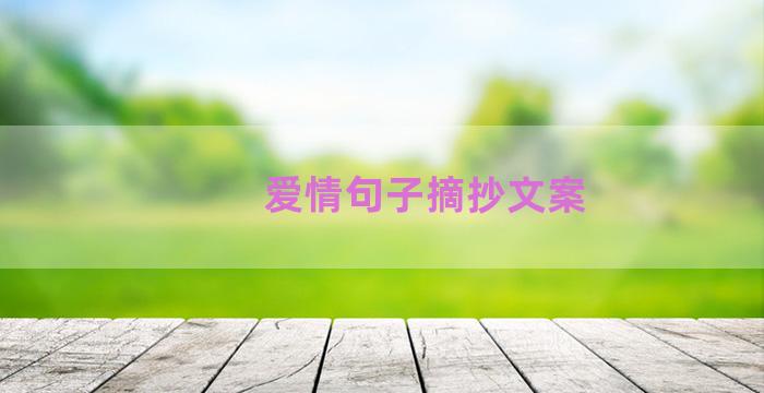 爱情句子摘抄文案