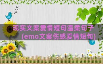 现实文案爱情短句温柔句子(emo文案伤感爱情短句)