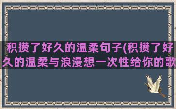 积攒了好久的温柔句子(积攒了好久的温柔与浪漫想一次性给你的歌)