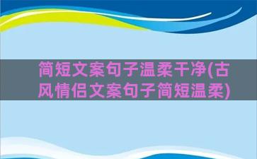 简短文案句子温柔干净(古风情侣文案句子简短温柔)