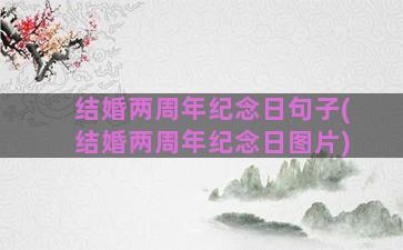 结婚两周年纪念日句子(结婚两周年纪念日图片)