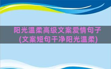 阳光温柔高级文案爱情句子(文案短句干净阳光温柔)