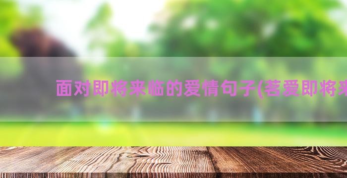 面对即将来临的爱情句子(茗爱即将来临)