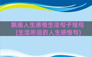 飘摇人生感悟生活句子短句(生活所迫的人生感悟句)