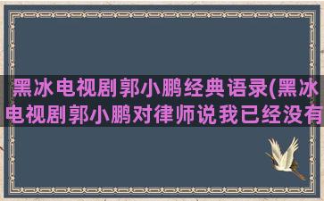 黑冰电视剧郭小鹏经典语录(黑冰电视剧郭小鹏对律师说我已经没有支配)